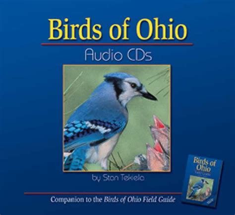 Bird Identification Guides: Birds of Ohio Audio (Other) - Walmart.com ...