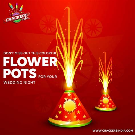 Don T Miss Out This Colorful Flower Pots For Your Wedding Night