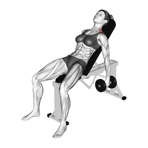 Incline Dumbbell Shrug