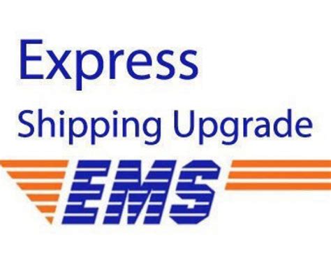 Shipping Upgrade Ticket For Ems Express Japan Treasure Factory