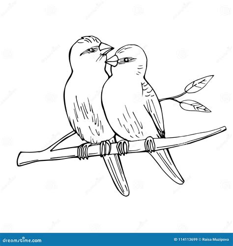 Two Birds On A Branch Drawing