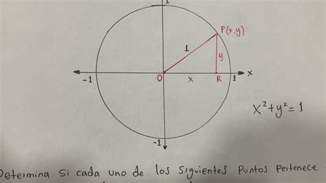 Trigonometría Circunferencia unitaria Ejercicios resueltos YouTube