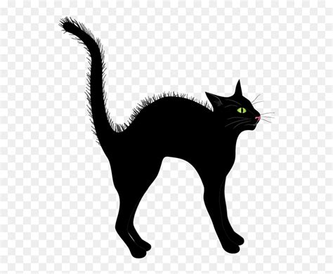 Black Cat Hd Png Download Vhv