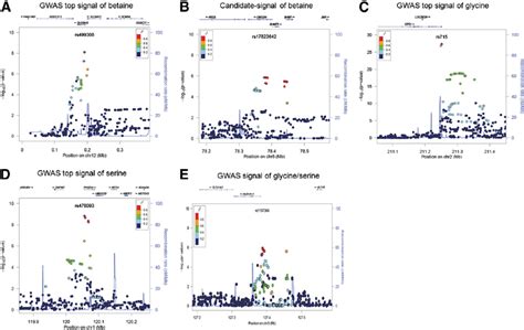 Regional Association Plots Of The Fi Ve SNP Metabolite Associations In