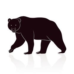 Bear silhouette isolated on white background Vector Image