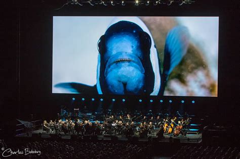 Blue Planet Ii Live In Concert In Rotterdam Ahoy Charles Batenburg