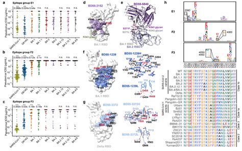 Nature Joint Effort By Top Research Institutions From China Deciphers Humoral Immune Evasion