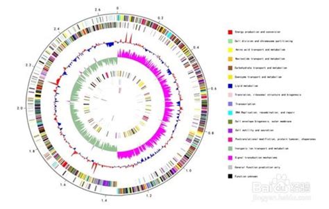 宏基因组数据分析上海迈浦生物科技有限公司