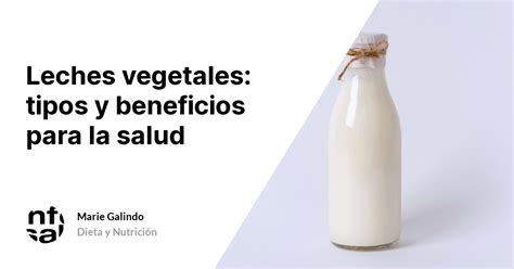 Leches Vegetales Tipos Y Beneficios Para La Salud Tuinfosalud