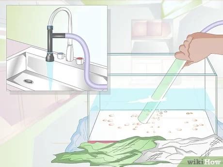 Ways To Siphon Water Wikihow