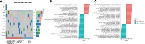 Frontiers Development And Validation Of A 6 Gene Hypoxia Related