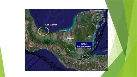 Que Tanto Conoces La Selva Lacandona Qu Significa