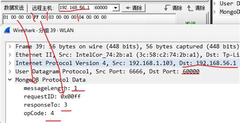 wireshark 中使用lua解析自定义协议 三岁玩童 博客园