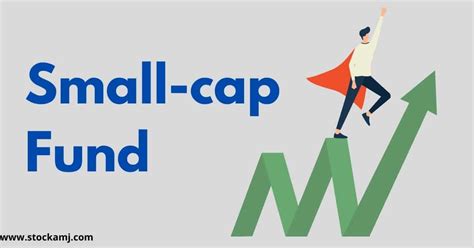 Why Small Cap Funds Investment Is Important Benefits Disadvantage