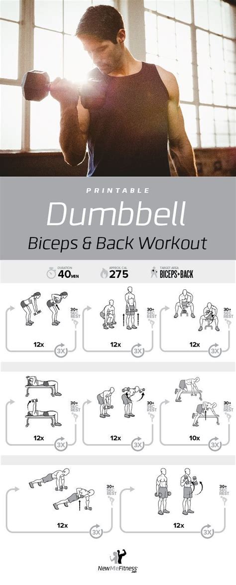 Pin By Skt On Weight Training Back And Bicep Workout Dumbbell Bicep