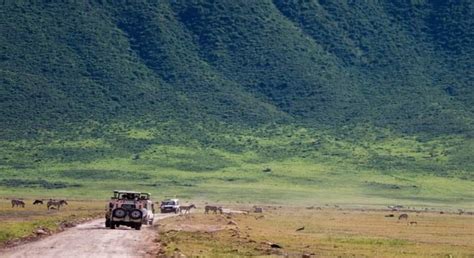 Excursi N De Un D A Al Ngorongoro Arusha Freetour