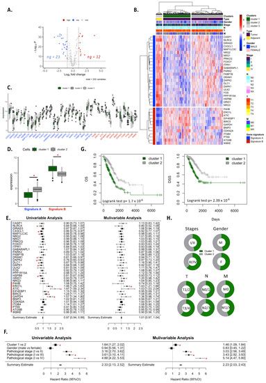 Cancers Free Full Text Autophagy Related Gene Signature Highlights