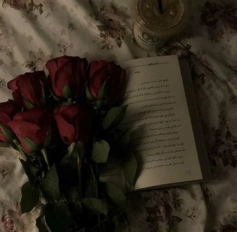 Red Roses Dark Aesthetics Dark Red Core Dark Red Aesthetics Red