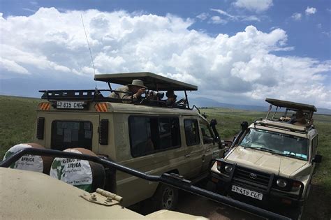 Group Safari From Arusha Tanzania Joining Group Safari Arusha Tours