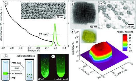 A Steady State Absorption Solid Black Curve And Pl Solid Green