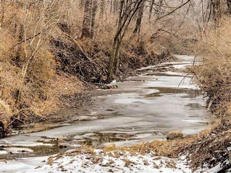 March Nature And Landscape Photography Brad Mangas