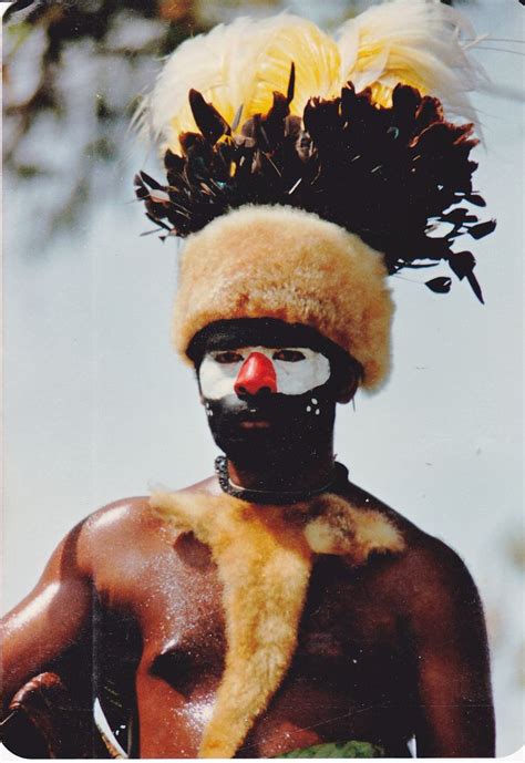 Tree Kangaroo And Plumes From The Greater Bird Of Paradise Paradisaea