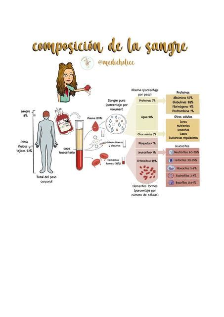 Composición De La Sangre Winnie Terrones Udocz