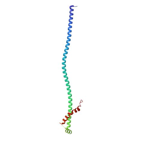 Rcsb Pdb B Q Synaptic Vesicle V Atpase With Synaptophysin And Sidk