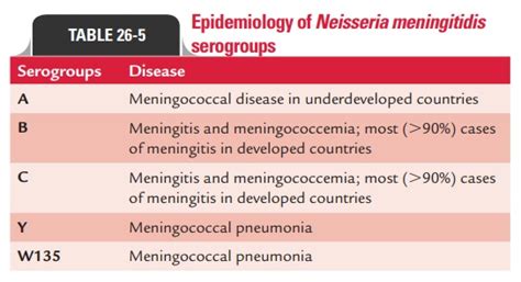 Neisseria Meningitidis Infection