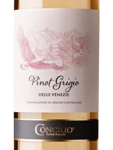 Concilio Pinot Grigio Vivino US