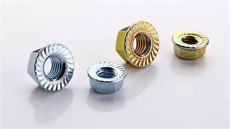 Flange Nut – Inox Trident Fasteners LLP