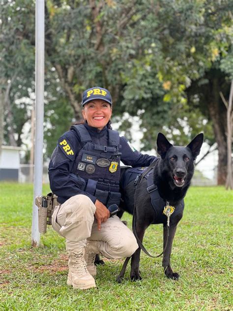 Cães da PRF são homenageados em cerimônia de aposentadoria Polícia