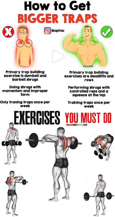 Trap Exercises Gym Off 62