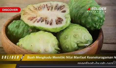 4 Manfaat Buah Mengkudu Yang Jarang Diketahui