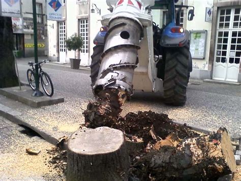 Elagage abattage du Tarn 81 Dessouch Arbres réalise aussi le