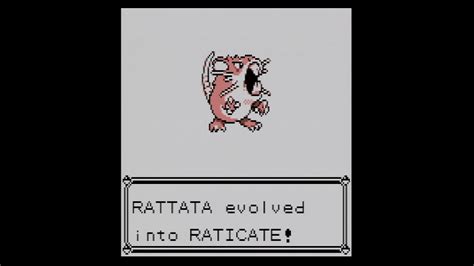 Pokemon Red Blue Leveling Rattata To Evolve Into Raticate YouTube