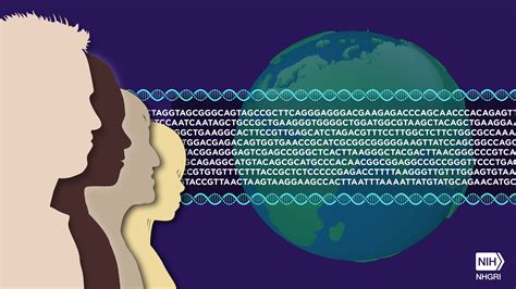 Looking Back Years After The Unveiling Of The First Human Genome