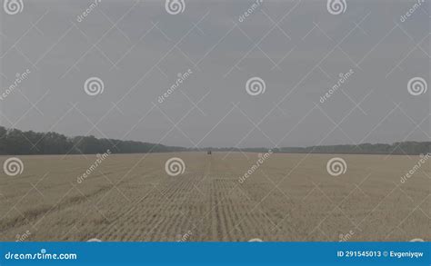 Farmer On Tractor Fertilizing Agricultural Field Spreading Mineral