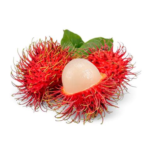 Rambutan Wah Teng Produce Ltd