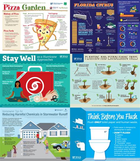 Uf Ifas Infographics Communications