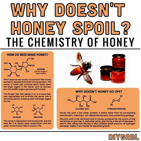 Why Doesnt Honey Spoil The Chemistry Of Honey Diy Gardening