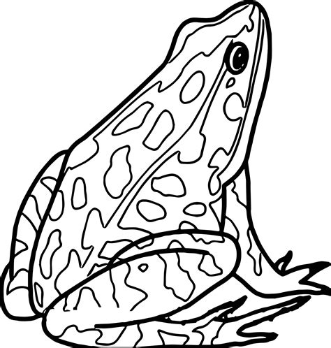 50 Best Ideas For Coloring Amphibians Coloring Pages Printable