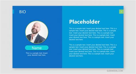 06-professional-bio-template-illustration-01 - SlideModel