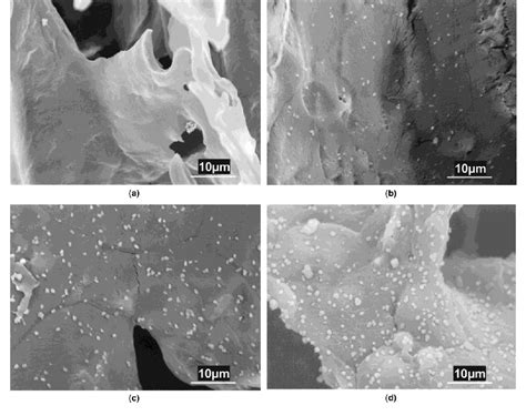 Figure 6 From Porous Poly L Lactic Acid Apatite Composites Created By