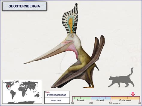 Geosternbergia Pteranodon Sternbergi By Cisiopurple On Deviantart