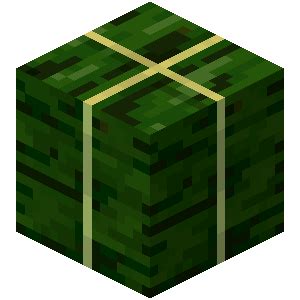 The Raw Kelp Block – Minecraft Feedback