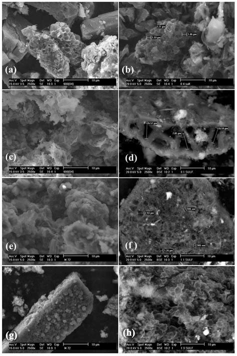 Catalysts Free Full Text Crude Glycerolguishe Based Catalysts For