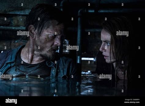 Crawl 2019 Barry Pepper Kaya Scodelario Alexandre Aja Dir Paramount