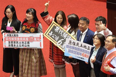 禁伐補償條例覆議明天翻牌 高金素梅揭民進黨盤算 政治 要聞 聯合新聞網