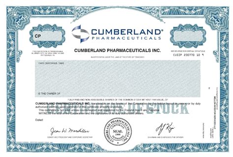 Certificate Of Shares Template Filename Elsik Blue Cetane In Corporate ...